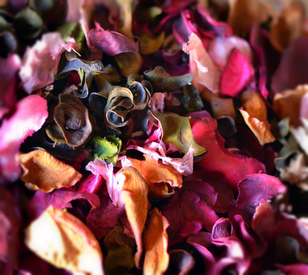 Brides on a Budget Shop Wedding Reds Preserved Freeze Dried Rose Wedding  Petals